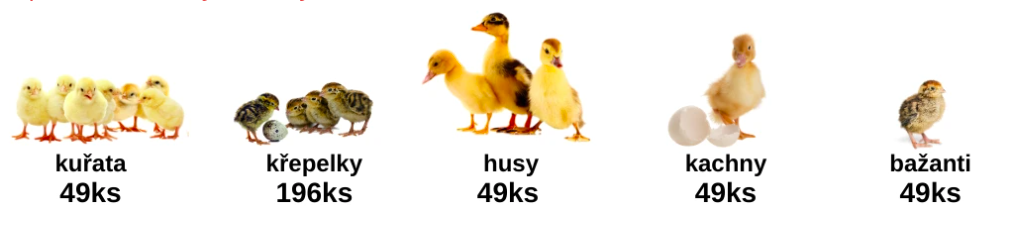 Snímka obrazovky 2024-09-24 o 17.42.45